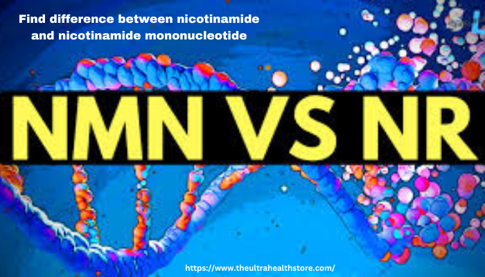 difference between nicotinamide and nicotinamide mononucleotide